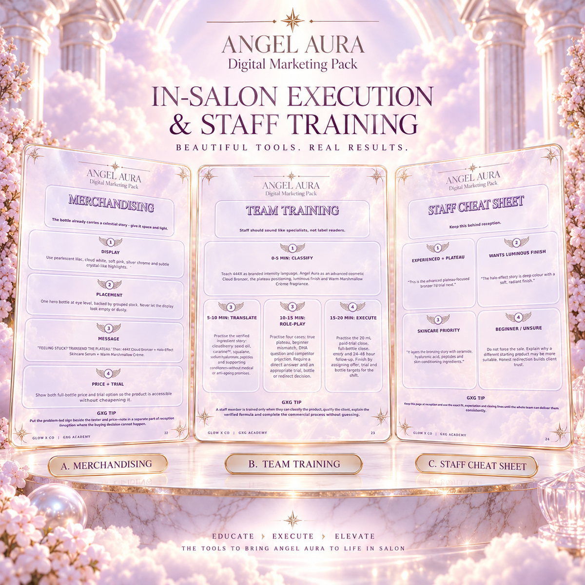 ANGEL AURA™ Complete Salon Marketing, Sales & Profit PACK | Digital Download